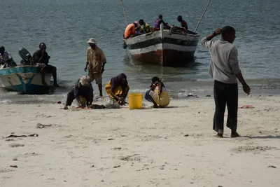 DSC_7616 (Large).JPG